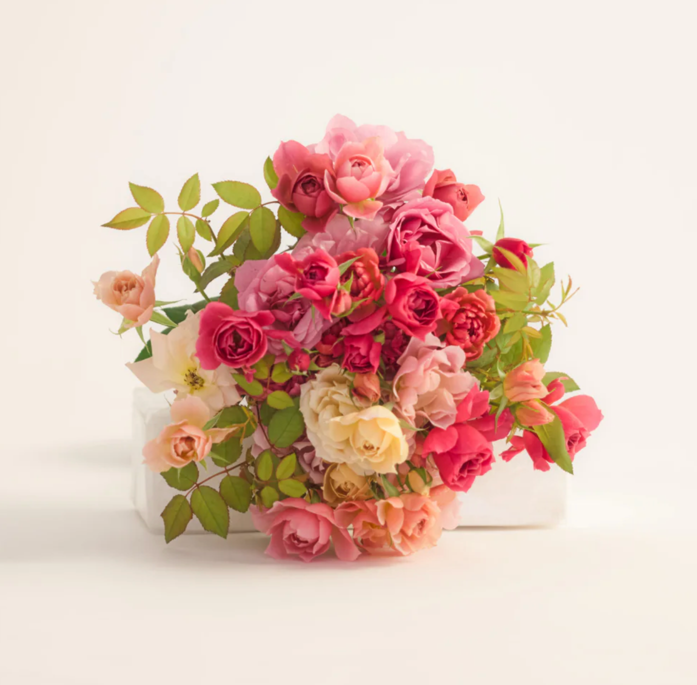 わばらの花束 - 葵 -